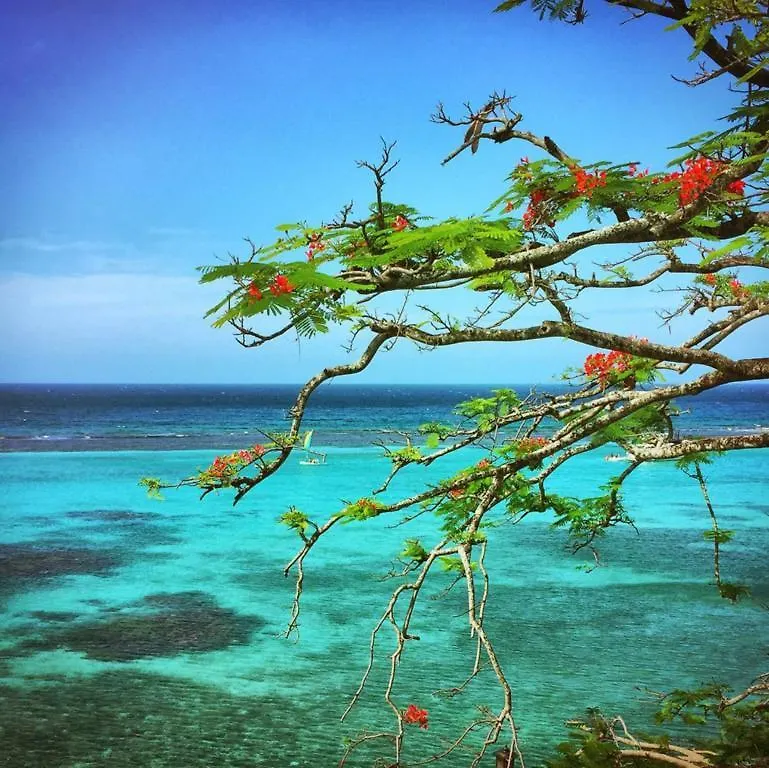 ***  Hibiscus Lodge Hotel Ocho Rios Jamaica